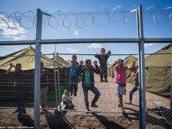 Hungary dùng dây thép gai quây người tị nạn