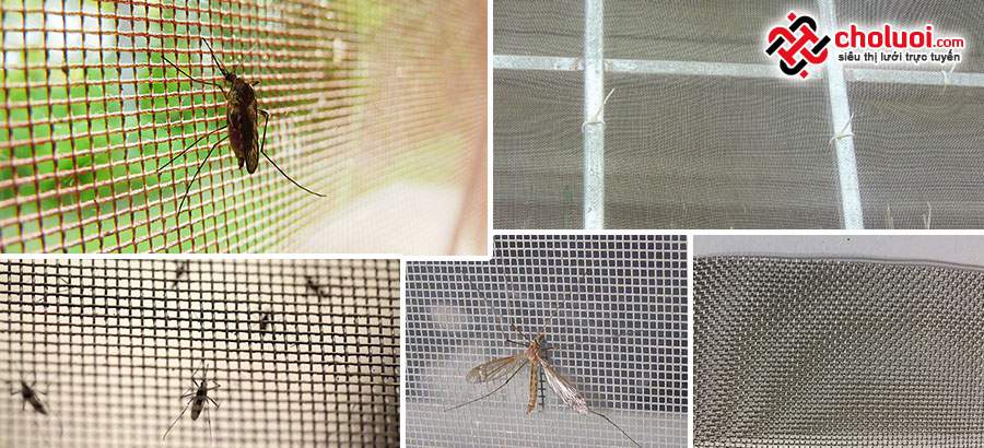 Lưới chống muỗi
