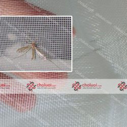 Lưới nhựa chống côn trùng